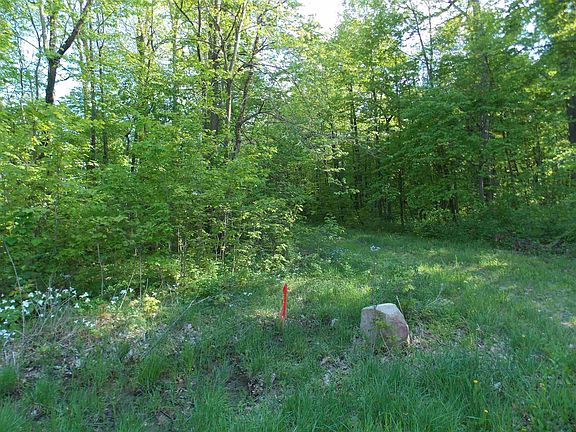 5th image of 7100 Griebel Dr