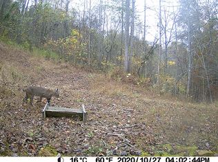 333 Sammons Hollow Rd, Greenup, KY 41144