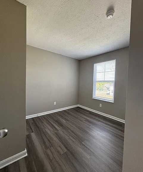 2899 Pine Leaf Ct — Photo 9