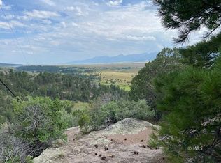100 Taylor Dr, Westcliffe, CO 81252