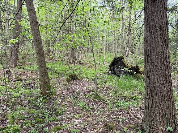 3rd image of Kellogg Hill Rd