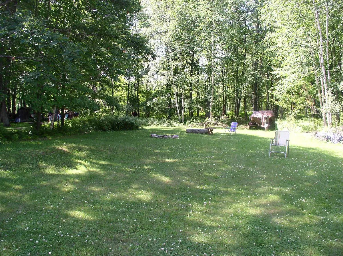 back yard - Blue Lake Rd