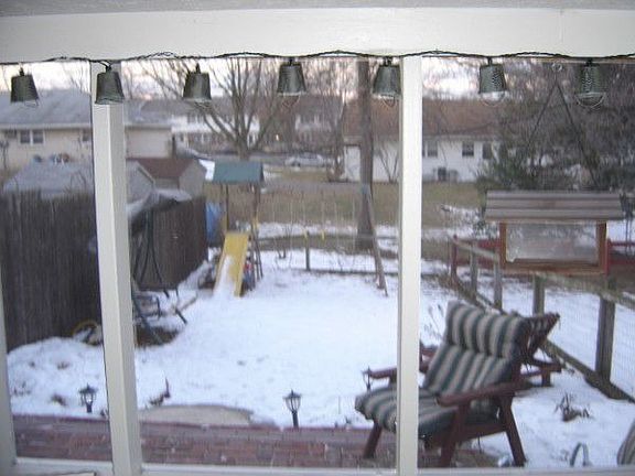 Yard from Screened Porch