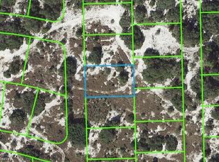 716 Caliente Ave, Lake Placid, FL 33852