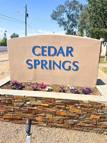 Cedar Springs Photo 1