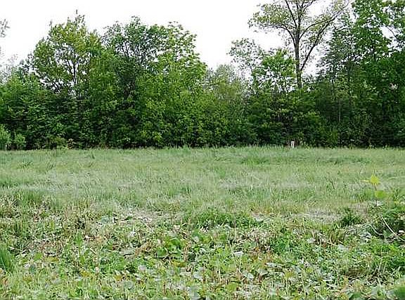 2nd image of 10573 River Oak Dr