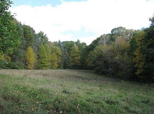 2nd image of 12 Nye Brook Rd
