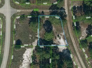 335 Sun Ct, Lake Placid, FL 33852