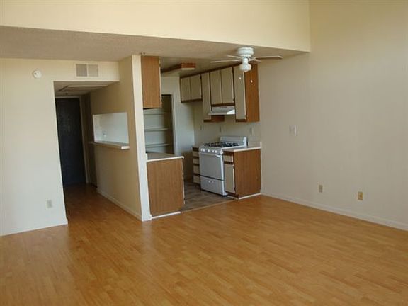 Living / Kitchen