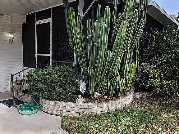 2nd image of 98 Flamingo Dr #98