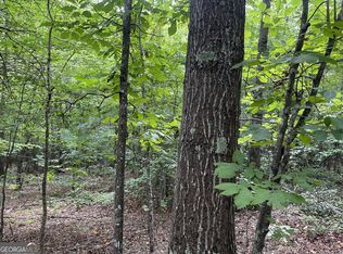 0 Dowdy Rd, Roopville, GA 30170