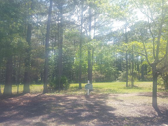 5th image of 2931 Pine Valley Dr