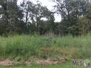 Tbd Anne St, Springfield, LA 70462