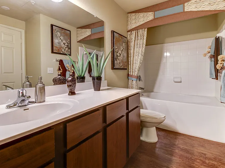 Bathroom Faux-Wood Floors