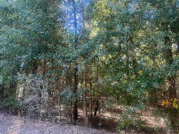 3rd image of PARCEL Warbonnet Rd #A