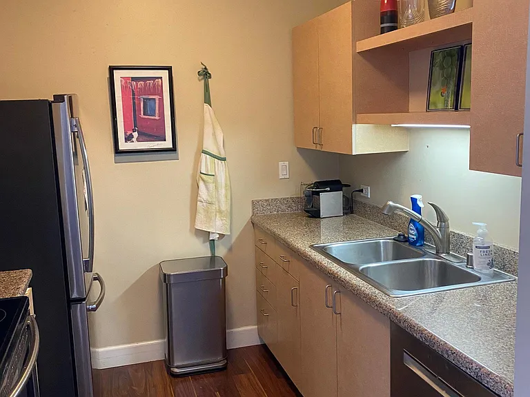 425 W Beech St #1407 — Photo 5