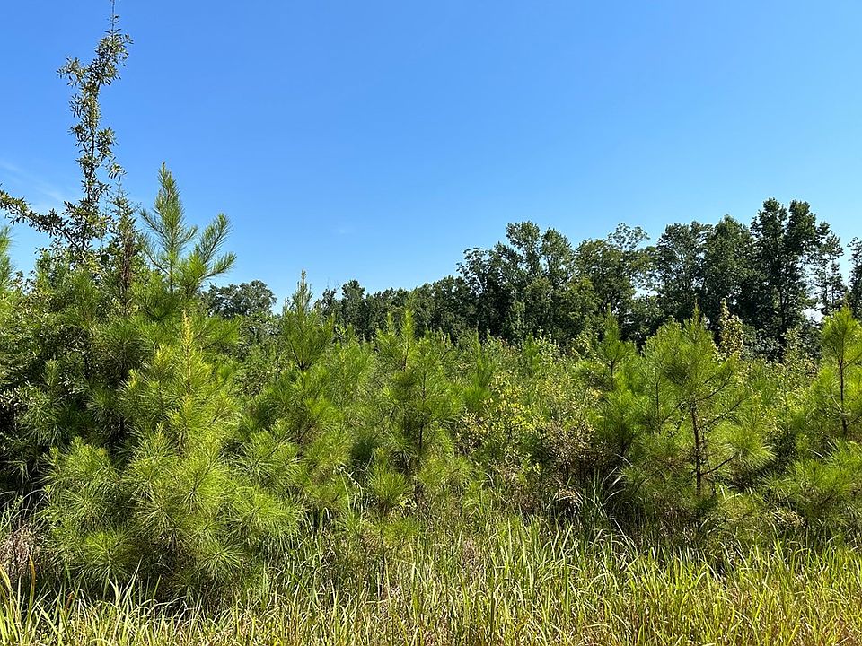 4.6 Old Elba Rd, Coffee Springs, AL 36318 Zillow