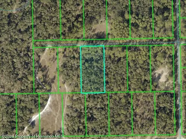0 Falkirk St, Webster, FL 33597