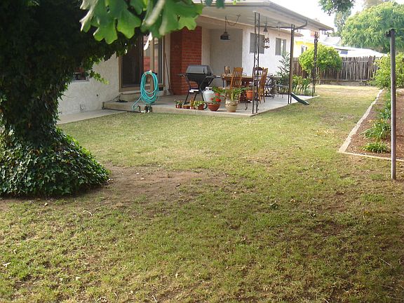 INCREDIBLE backyard!