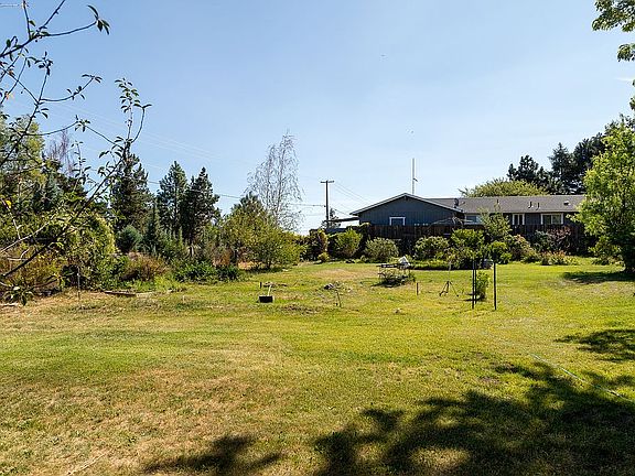 IMAGE_5