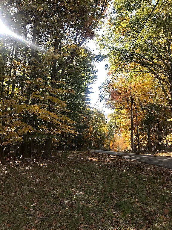 19 Blackhead Mountain Rd, Round Top, NY 12473 Zillow