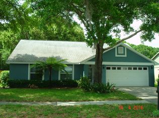 15145 Nighthawk Dr, Tampa, FL 33625
