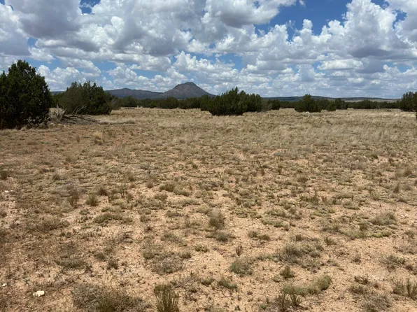 LOT-118D N Prairie Dog Rd, Ash Fork, AZ 86320