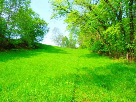 4th image of 0 N Of Eagle Mountain Rd Lot 9-10