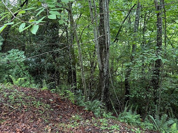 4th image of Lot 4 Mountain Vista Lane LOT 4