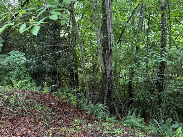 LOT 15 Mountain Vista Ln, Topton, NC 28781