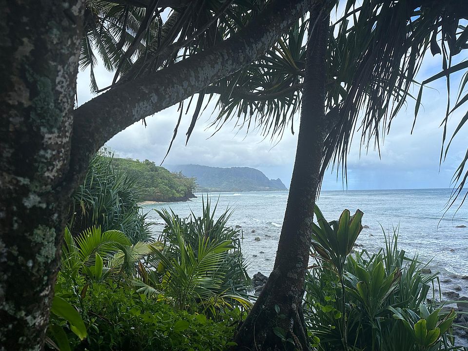 View from Hideaway's Beach. Just below the condo.