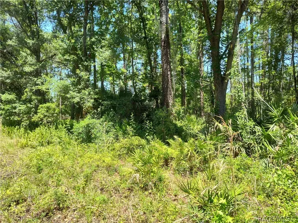LOT NE 66th Ct #B, Citra, FL 32113