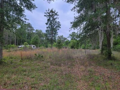  NE 159th Ave, Old Town, FL, 32680