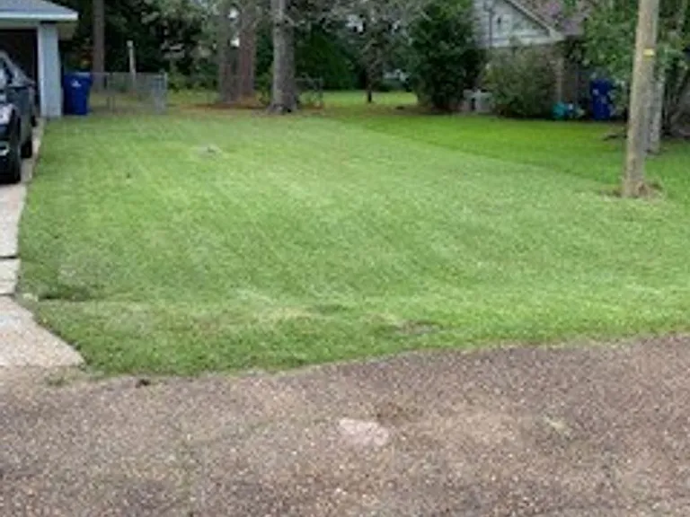 1206 Seminole St — Photo 4