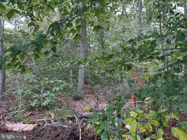 11504 Durango Dr, Lusby, MD 20657