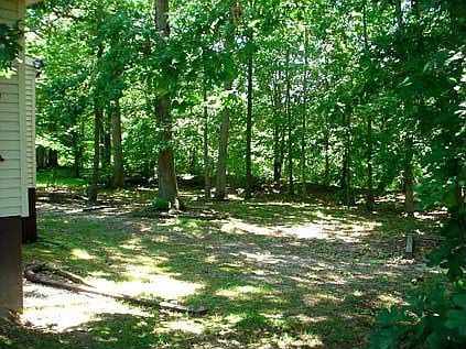 back yard