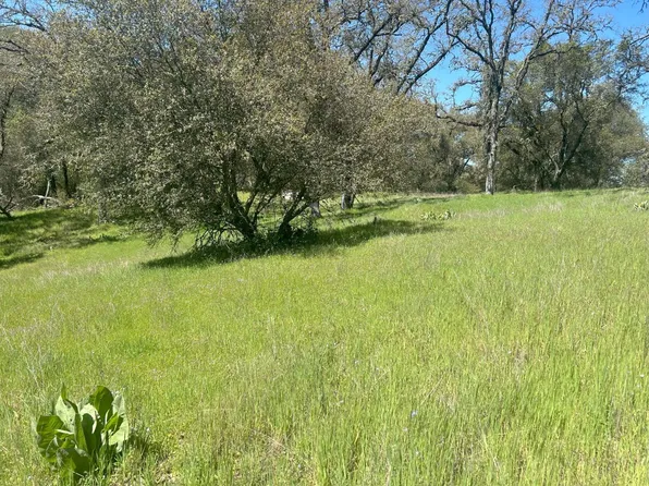 4600 Summer Creek Ct, Shingle Springs, CA 95682