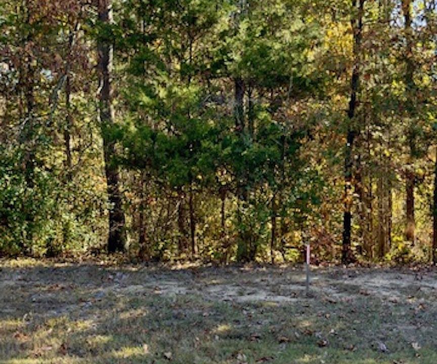 2nd image of 10628 S Ford Rd #14