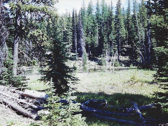 4th image of Ahtanum