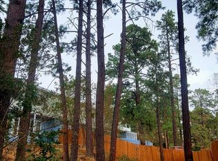 2164 43rd St APT A, Los Alamos, NM 87544