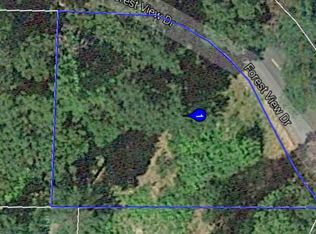 527 Forest View Dr, Willow Creek, CA 95573