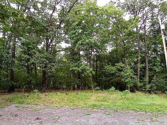 3rd image of Rosebud Ln