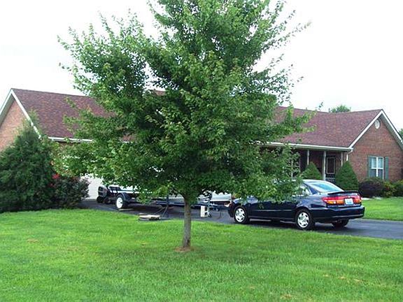 2nd image of 309 Parkwood Dr