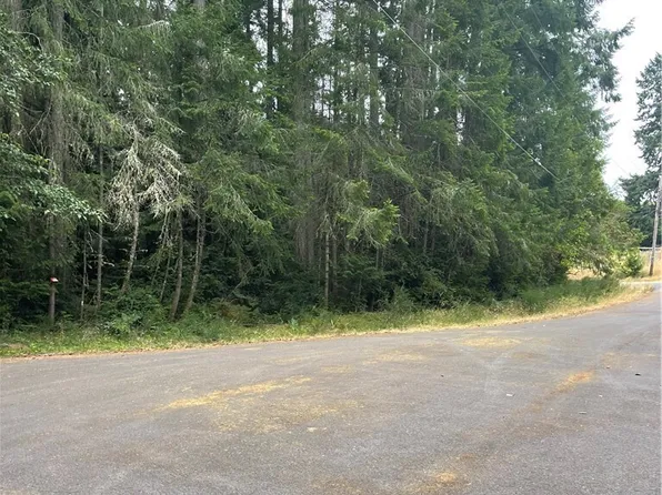 12514 93rd Street Ct, Anderson Island, WA 98303