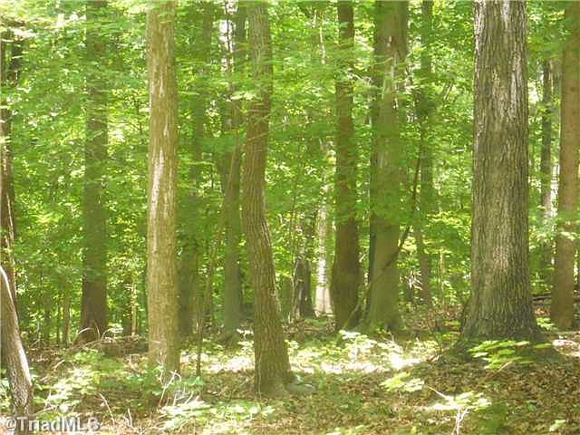 2nd image of 779 Lake Dr