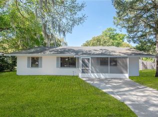 225 S Rhodes St, Mount Dora, FL 32757