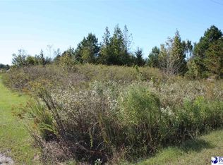 5845 Rooster Cir, Pinewood, SC 29125