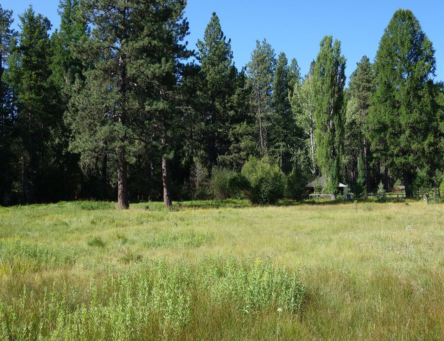 26237 SW Tamarack Ln, Camp Sherman, OR 97730 Zillow