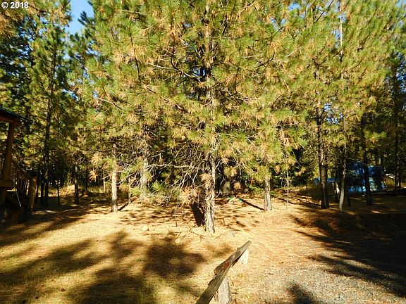 2nd image of 77936 Lupine Ln