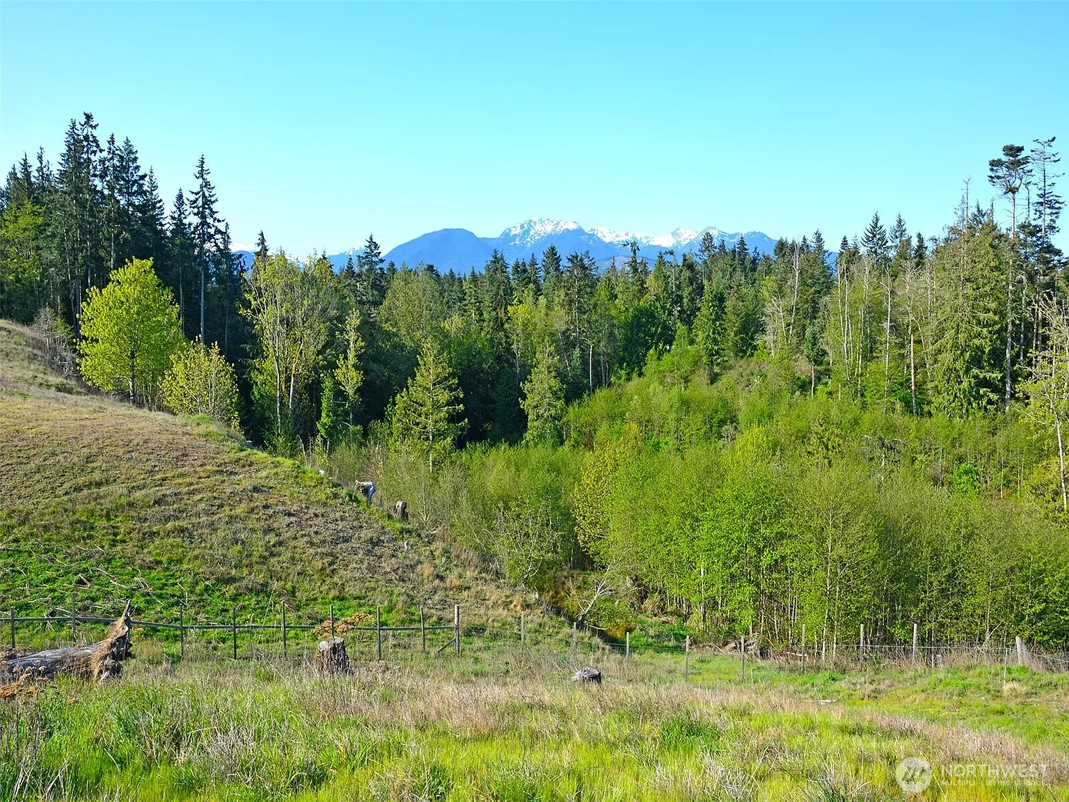 1000 Lemmon Road photo 1